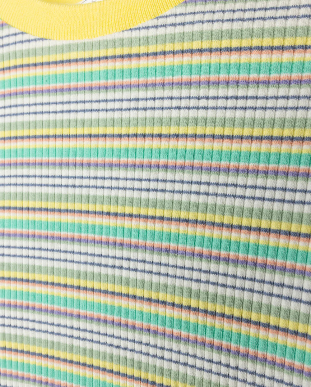 Multi Striped  Ribbed T- shirt