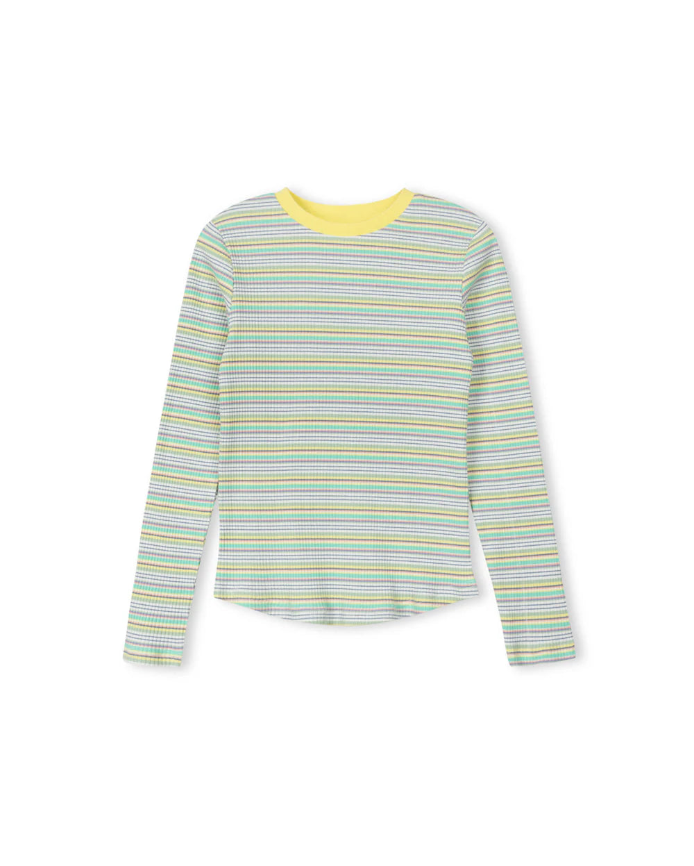 Multi Striped  Ribbed T- shirt
