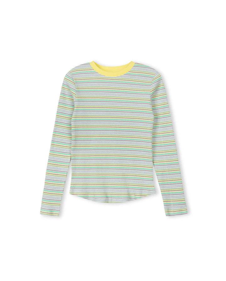 Multi Striped  Ribbed T- shirt