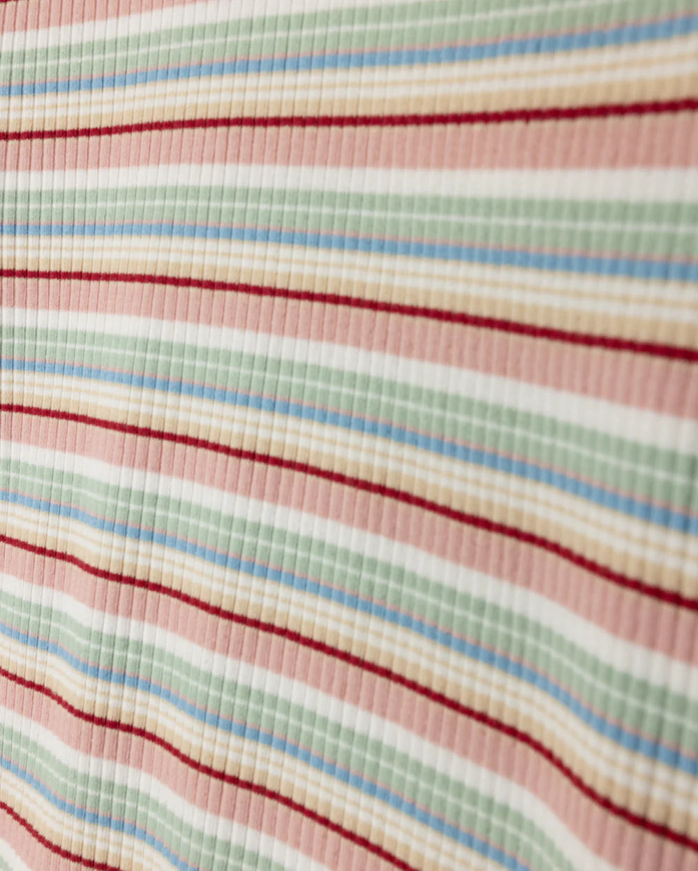Multi Striped  Ribbed T- shirt