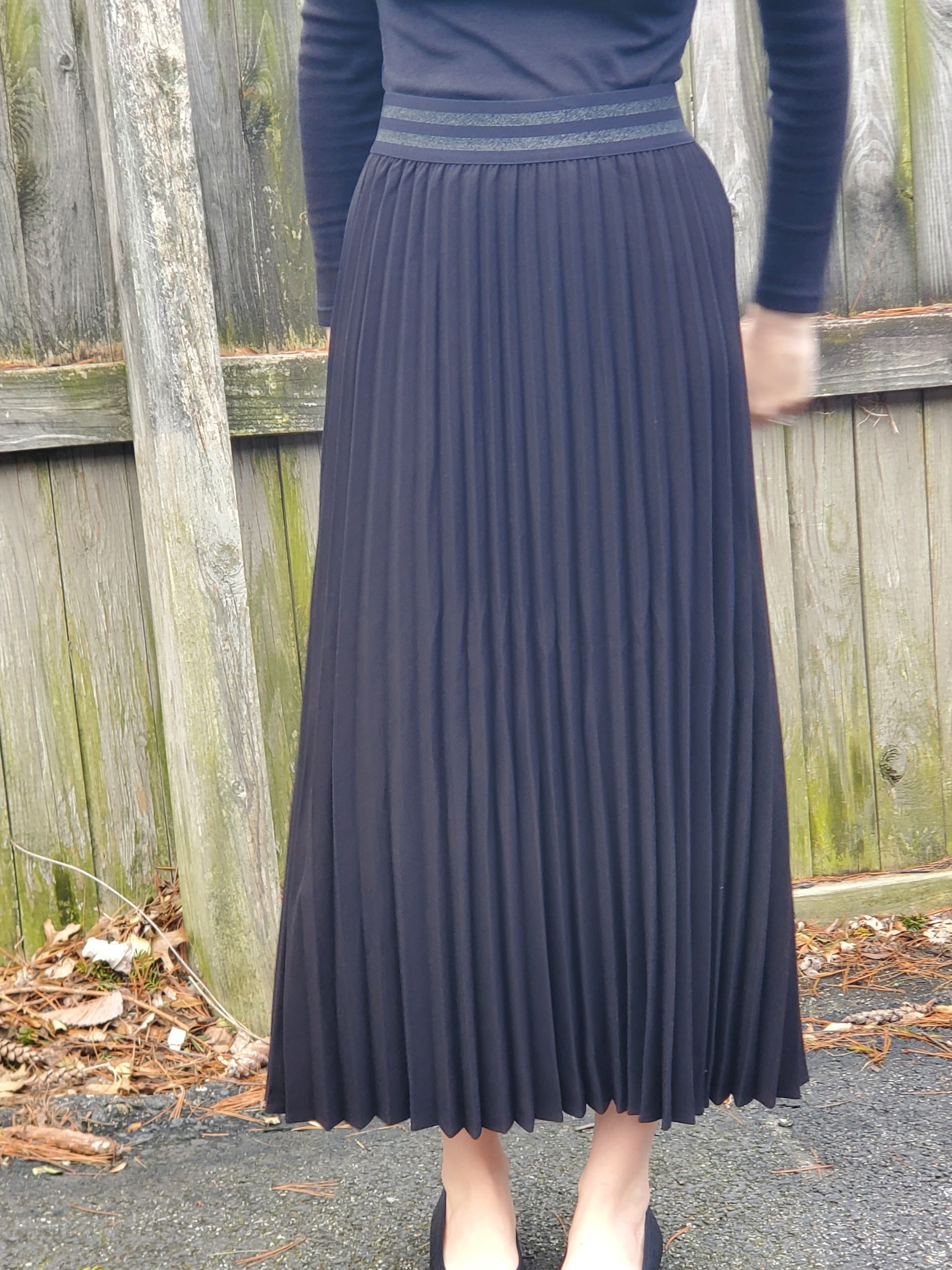 Pleated Skirt 20110