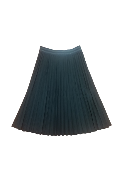Pleated Skirt 20110